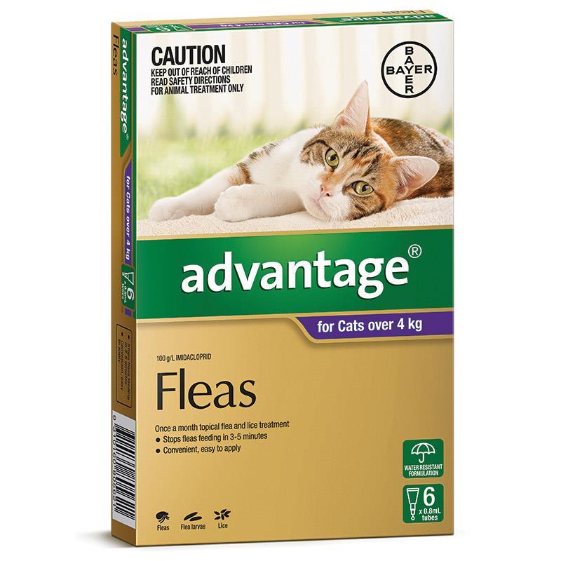 Advantage For Cats Over 4kg Purple 6 pack
