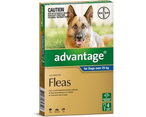 Advantage For Dogs Over 25KG Blue 4 Pack