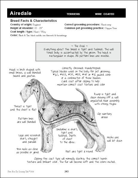 AIREDALE TERRIER GROOMING CHART