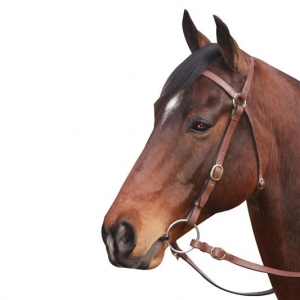 McAlister - Barcoo Bridle Full