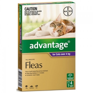Advantage For Cats Over 4Kg Purple 4 Pack
