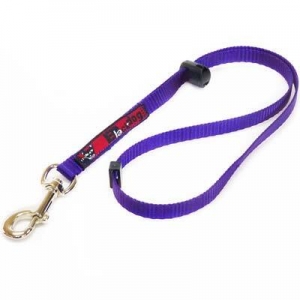 Black Dog Grooming Loop Purple - 45cm