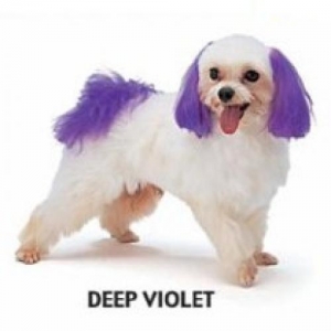 Dyex Dog Dye - Deep Violet 150g