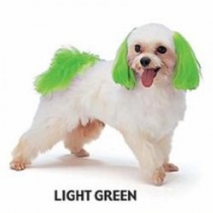 Dyex - Light Green 50g