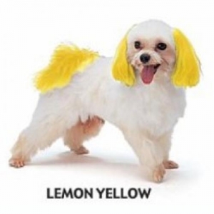 Dyex Dog Dye -  Lemon Yellow 150g