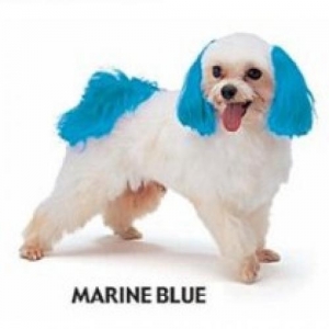 Dyex Dog Dye - Marine Blue 150g