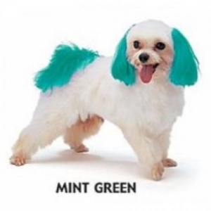 Dyex - Mint Green 50g