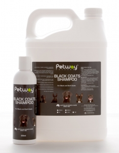 Petway Petcare BLACK COATS SHAMPOO 500ml