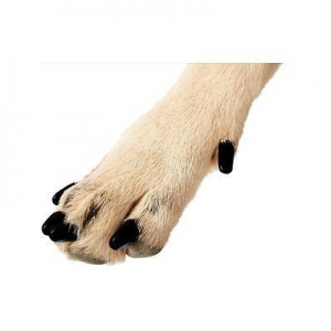 Soft Claws Canine Large - Black