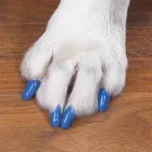 Soft Claws Canine Large - Blue