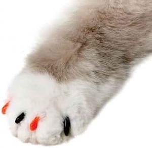 Soft Claws Feline Medium - Orange & Black
