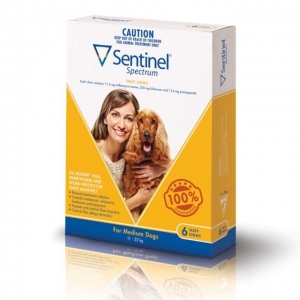 Sentinel Spectrum Chews For Dogs 12-22Kg Yellow 6's